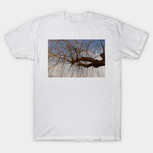 The Trees Of Beihai Park © T-Shirt